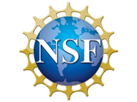 nsf logo