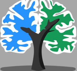 Brainlife logo