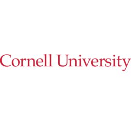 cornell university