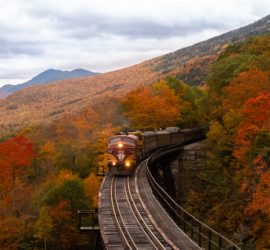 Train on a bridge amidst autumn trees