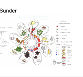 Data visualization food Sanjana Sunder