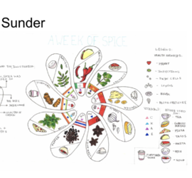 Data visualization food Sanjana Sunder