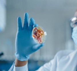 Stock photo of a male scientist examining a petrie dish