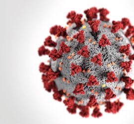 artist rendering of the coronavirus