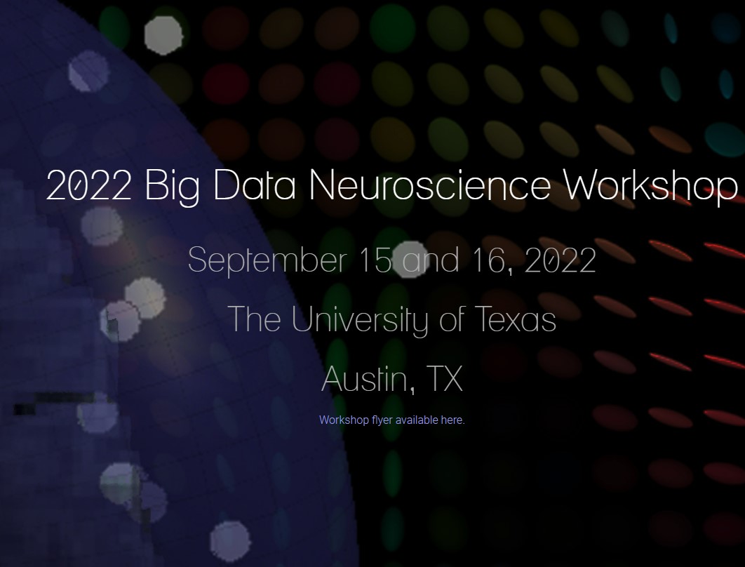2022 Big Data Neuroscience Working Group