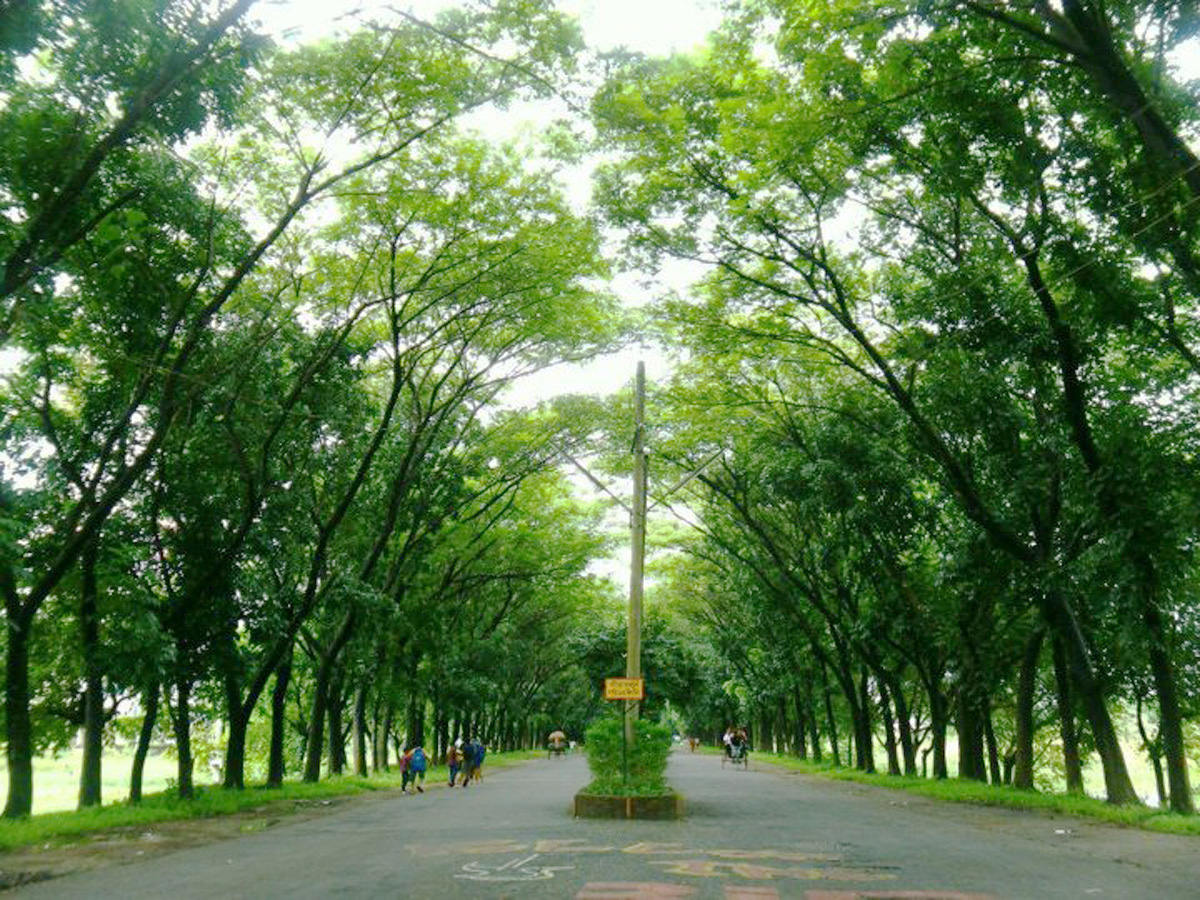 A photo of the tree lined entrance way at Shahjalal University of Science and Technology