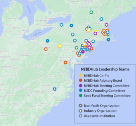 Diagram depicting NEDBHub Leadership Teams