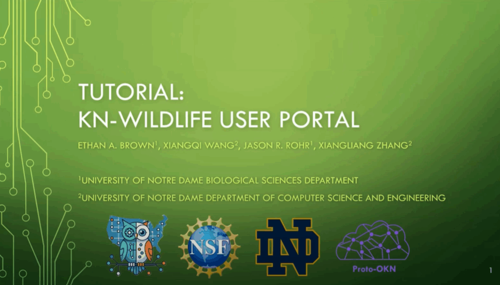 Cover slide for a presentation on the KN-Wildlife Portal