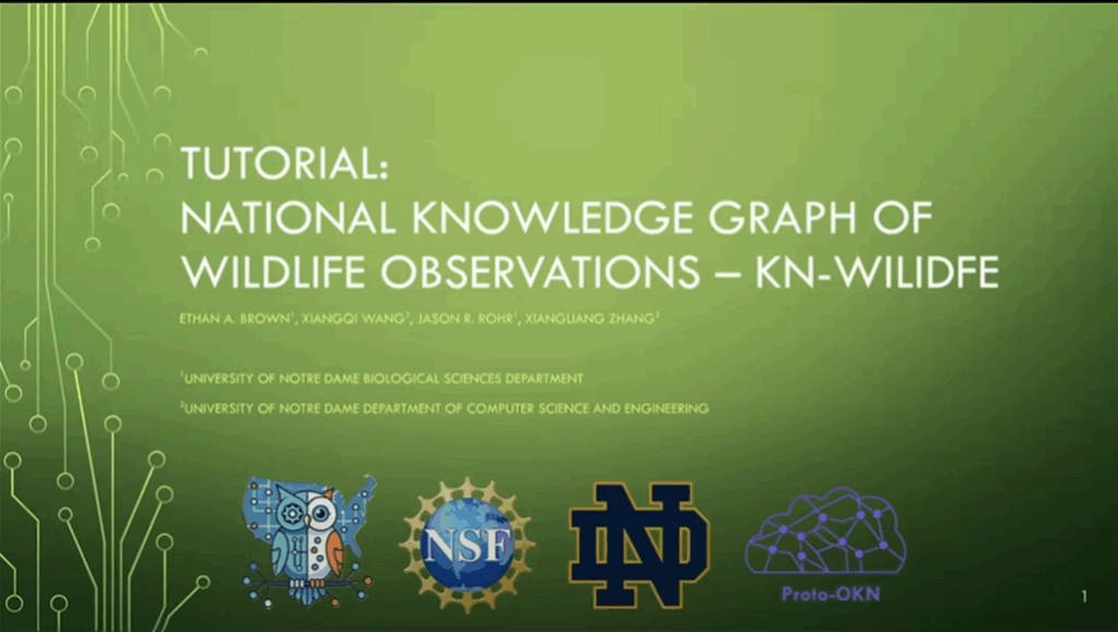 Cover slide for a presentation on the KN-Wildlife Portal
