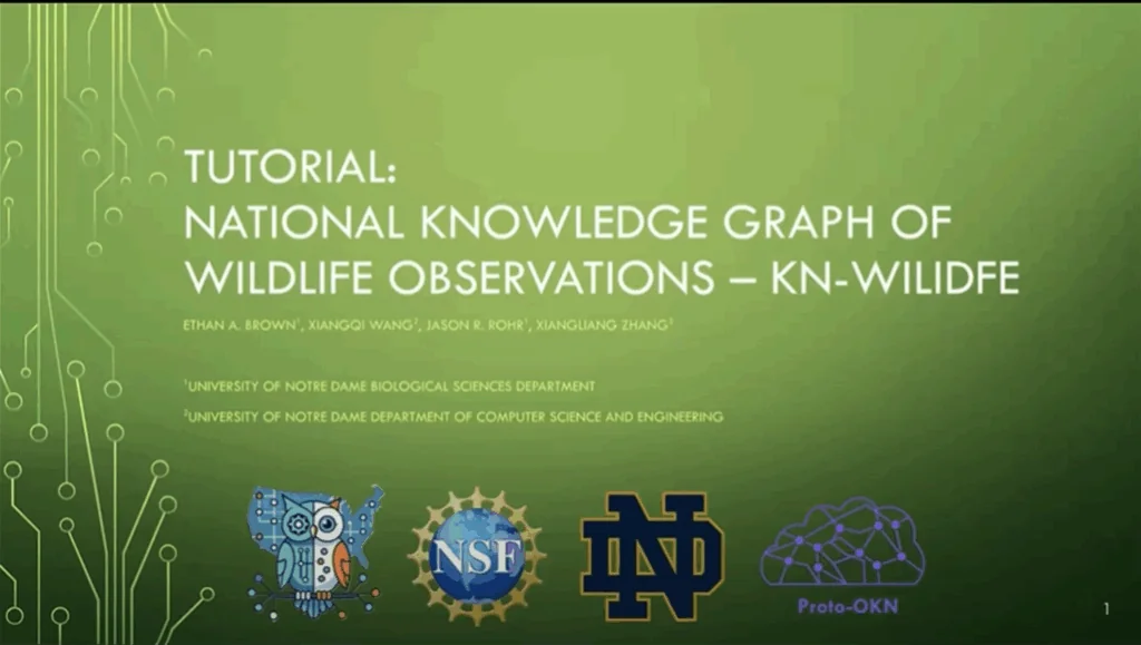 Cover slide for a presentation on the KN-Wildlife Portal